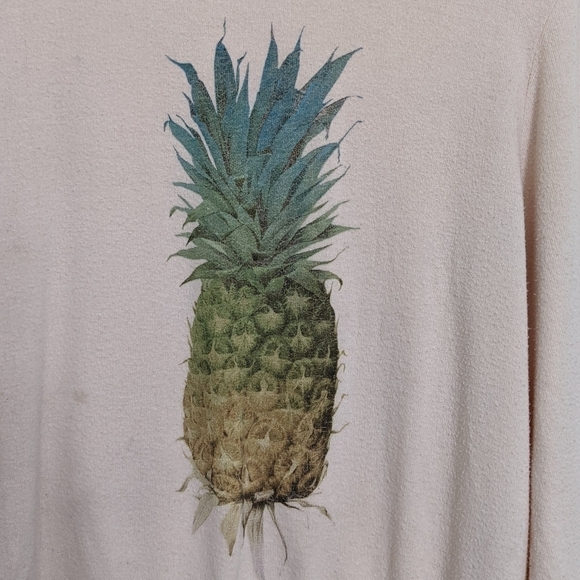 Wildfox Baggy Beach Jumper Small Pink Sweatshirt Pineapple Graphic - Picture 3 of 7